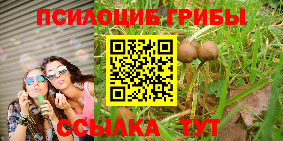 Псилоцибиновые грибы Cubensis  Вход с VPN  Псилоцибиновые грибы MAGIC MUSHROOMS  Мытищи 