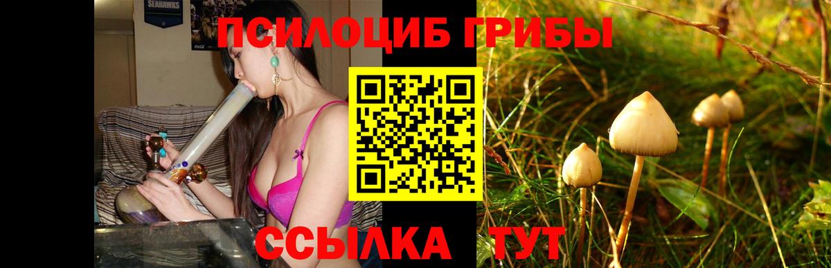 Галлюциногенные грибы мицелий Мытищи